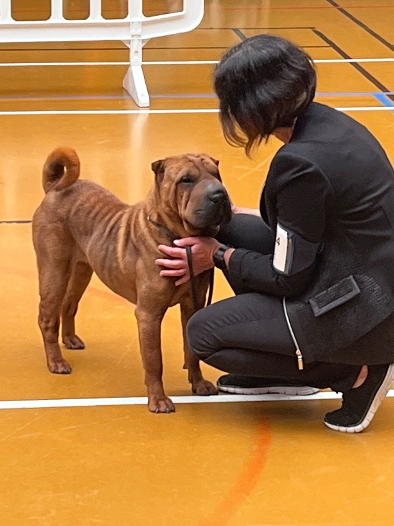Ulla De L'Esprit De Buchido